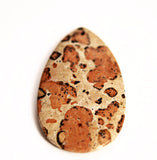 Leopard Skin Jasper Teardrop Pendant