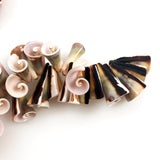 Lisway Shell Trumpet Beads