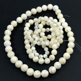 Mother of Pearl Round Beads