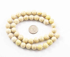 Natural Fossil Gemstone Bead Strands