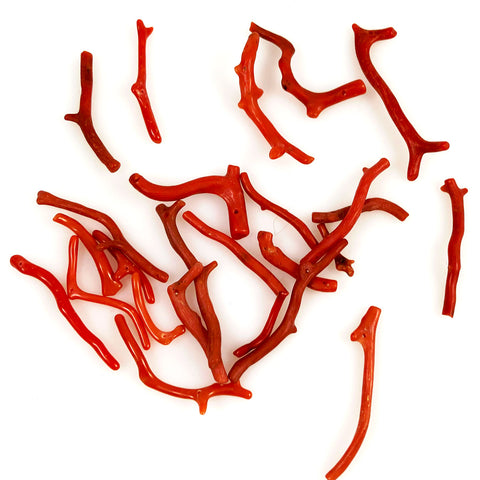 Orange Coral Large Branch Beads