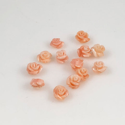 pink coral roses