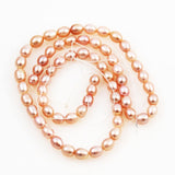 Pink Freshwater Pearl Oval Beads Strand