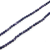 Purple Fossil Beads