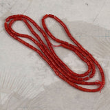 Italian Red Coral Tubes Natural