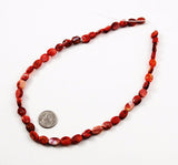 Red Spiny Oyster Shell Oval Beads 