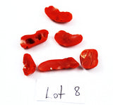 Back of Natural Italian Red Coral Cabochons Lot 8