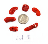 Natural Italian Red Coral Cabochons Lot 8