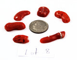 Natural Italian Red Coral Cabochons Lot 8