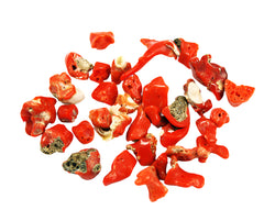 Italian Red Coral Chip Beads Large (12)- All Natural