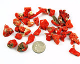 Italian Red Coral Chip Beads 
