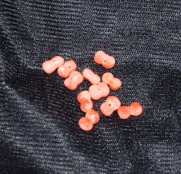 Salmon Pink Coral Bowtie Beads Natural (12)