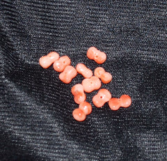 Salmon Pink Coral Bow Tie Beads Natural (12)