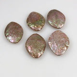 Large Abalone Crackle Oval Beads