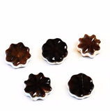 Brown Shell Star Beads 1970's