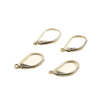 Sterling Silver Lever Back Earrings