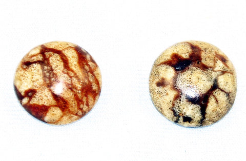 Tiger Coral Round Cabochons