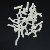 White Coral Large Branch Beads Rare Natural