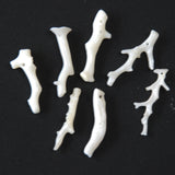 White Coral Frangia Branch Beads 