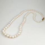 Angel Skin Coral Necklace 