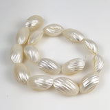 Large White Two-Sided Shell Beads
